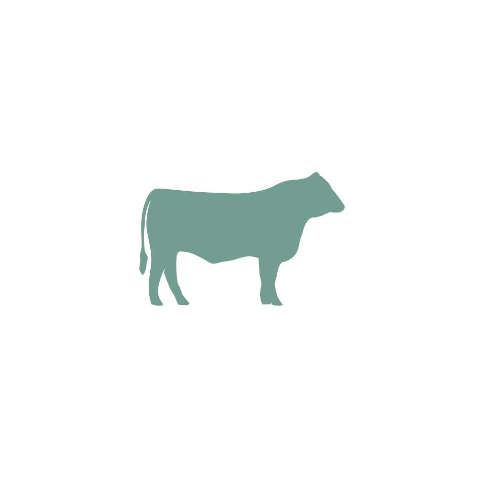 Grass-fed organic beef cow icon representing REGEN+ natural beef organ supplements