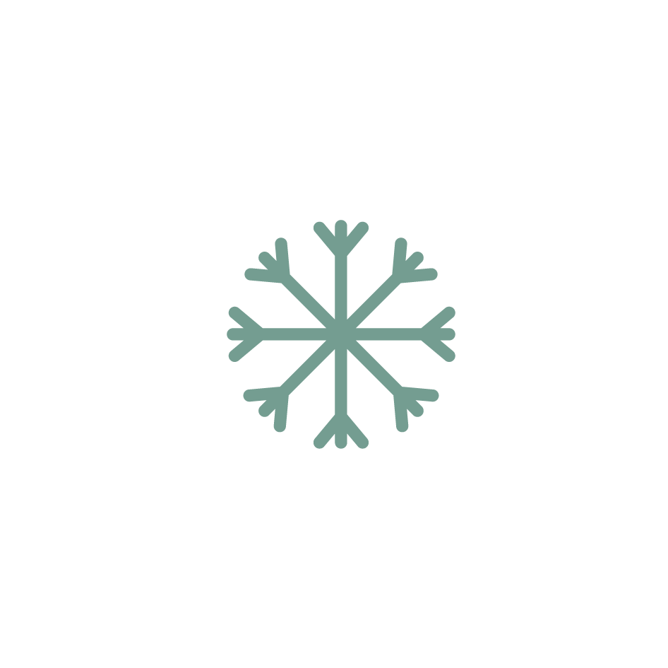 Snowflake icon representing REGEN+ 100% freeze-dried beef liver and heart for optimal nutrition